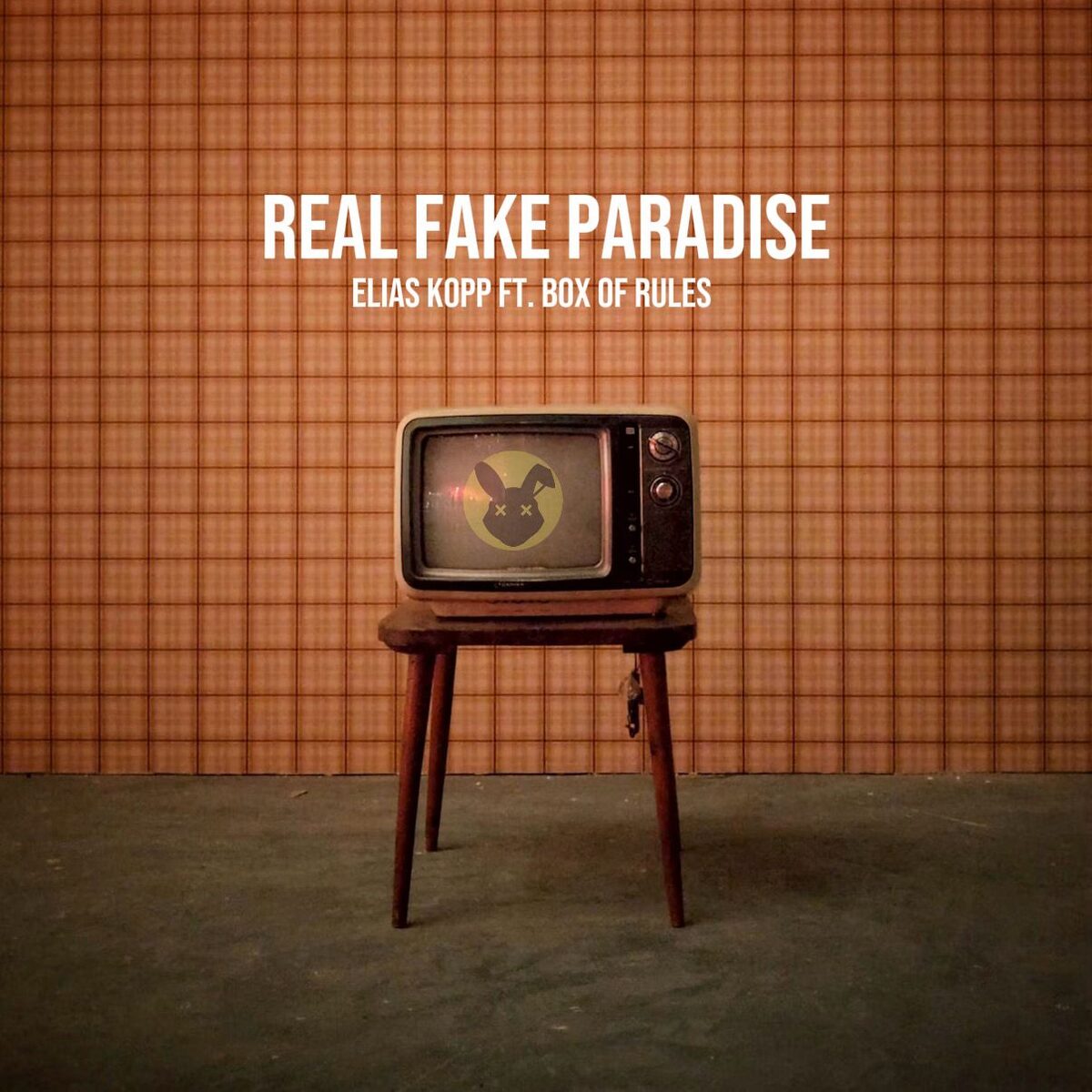Real Fake Paradise single artwork · Elias Kopp ft. Box of Rules